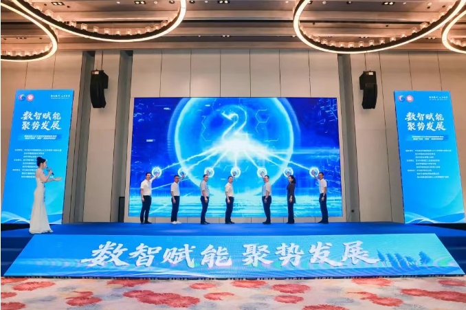 韦德国际
