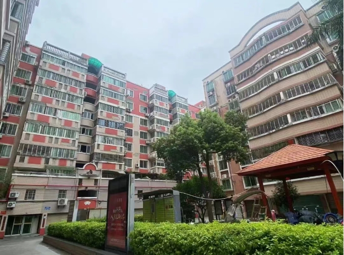 韦德国际