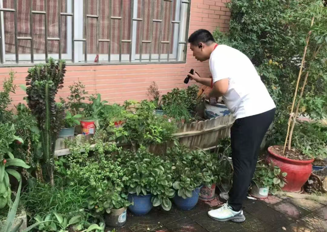 韦德国际