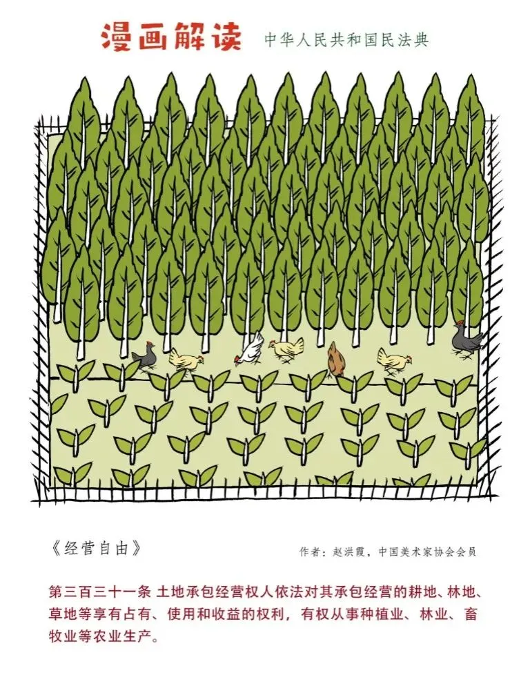 韦德国际